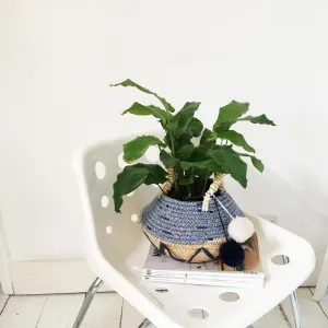 Blue Zig Zag Rope Basket