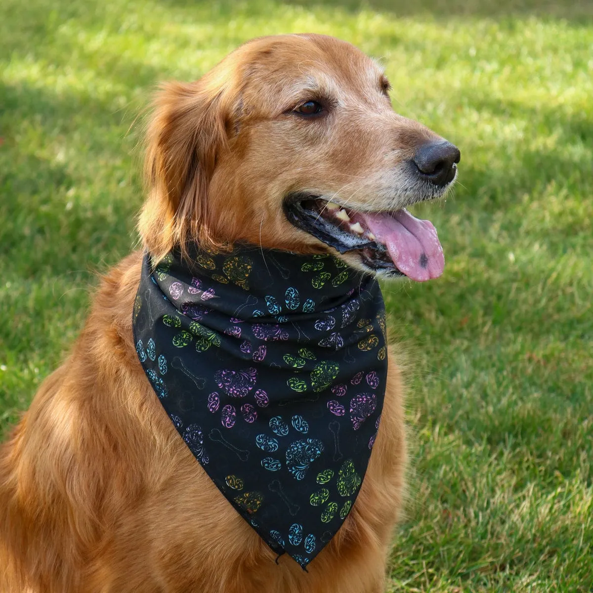 CTM® Colorful Dog Paw Print Bandana