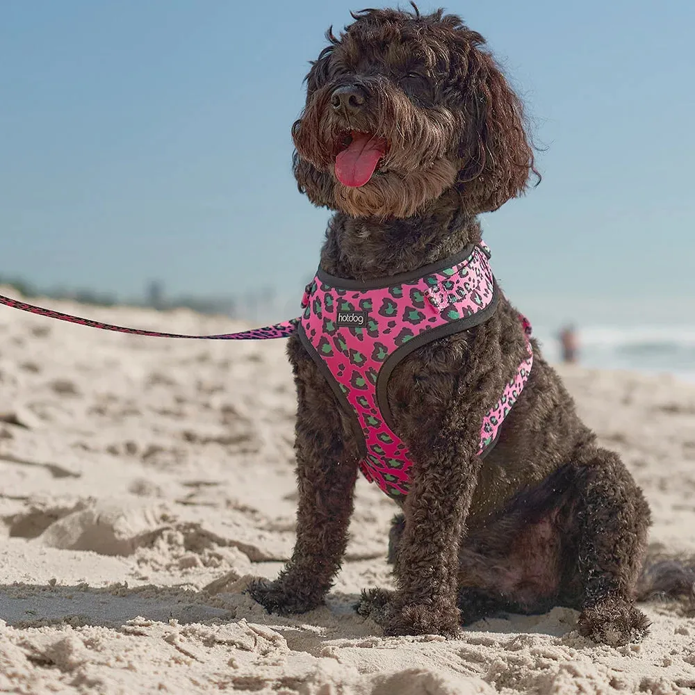 Hot Dog - Harness - Pink Ocelot