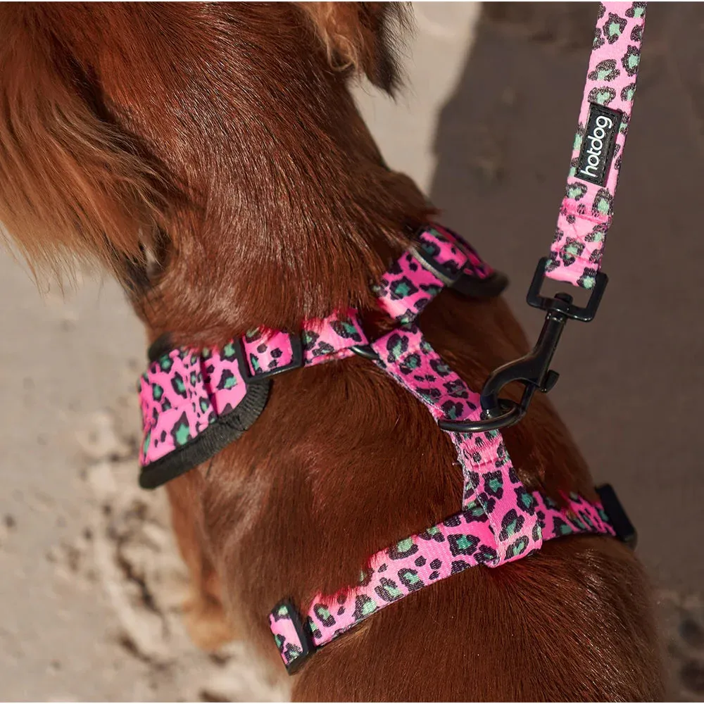 Hot Dog - Harness - Pink Ocelot