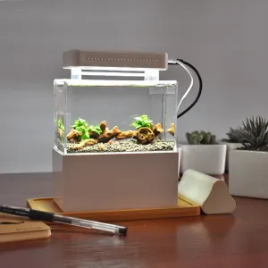 Portable Desktop Aquaponic Aquarium