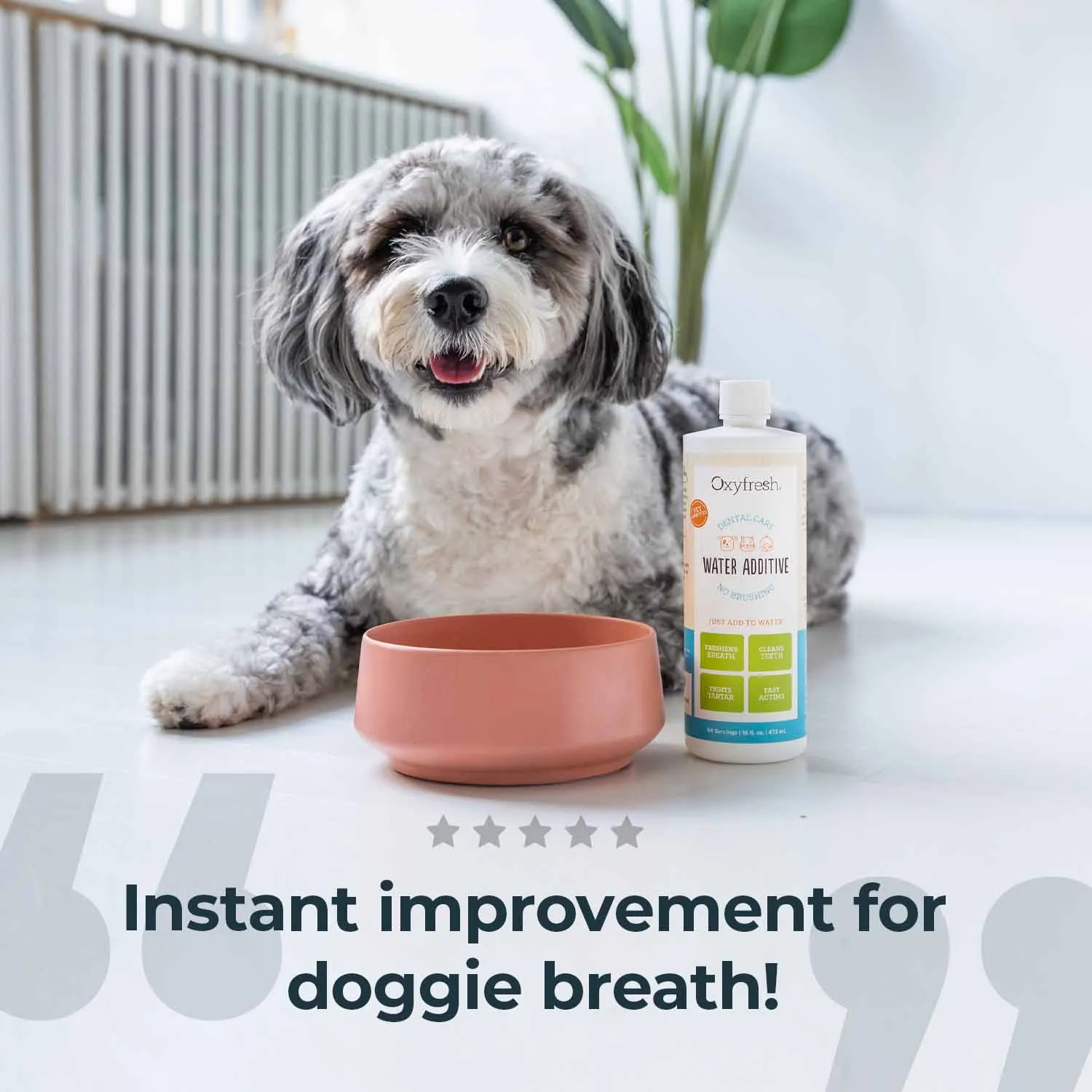 Premium Pet Dental Water Additive - Best Way to Fight Pet Bad Breath